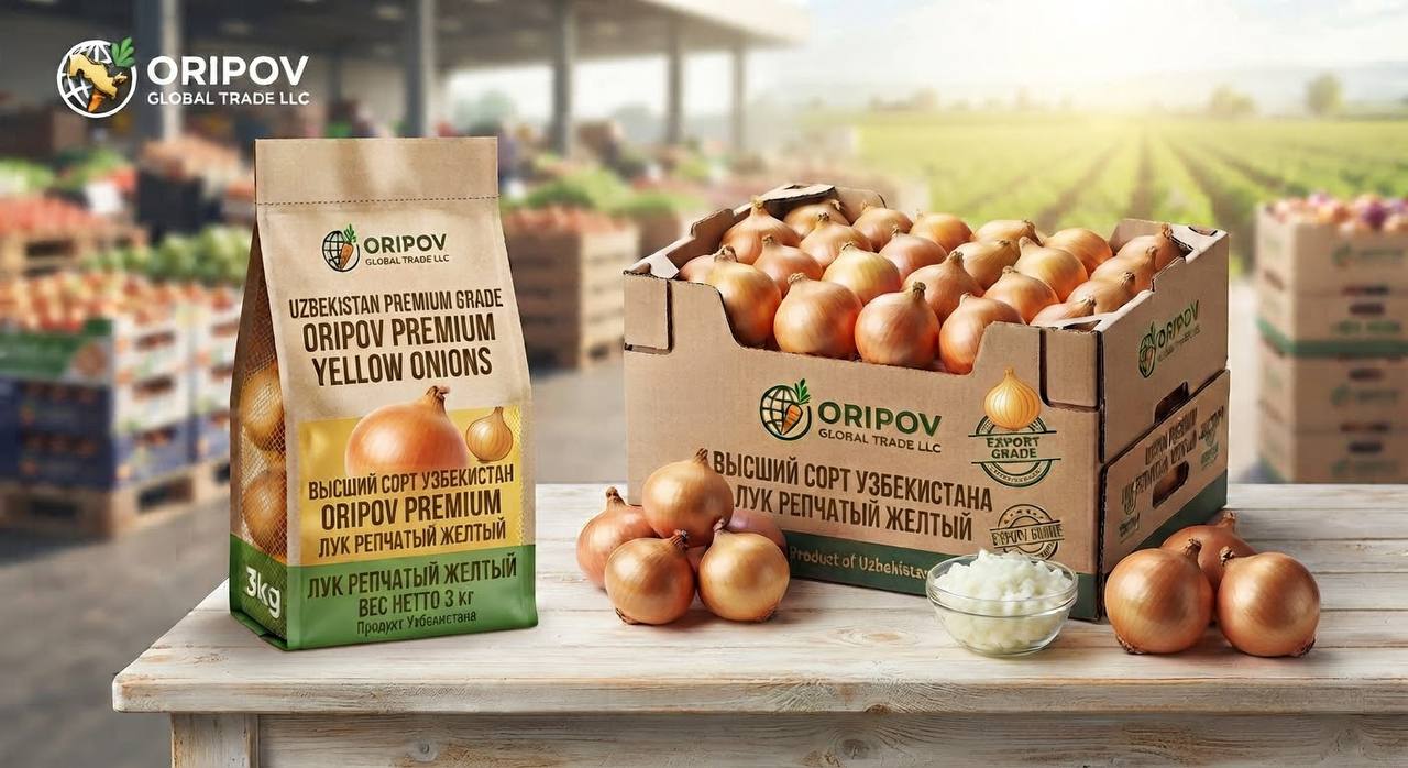 ORIPOV premium yellow onion retail bag and export carton