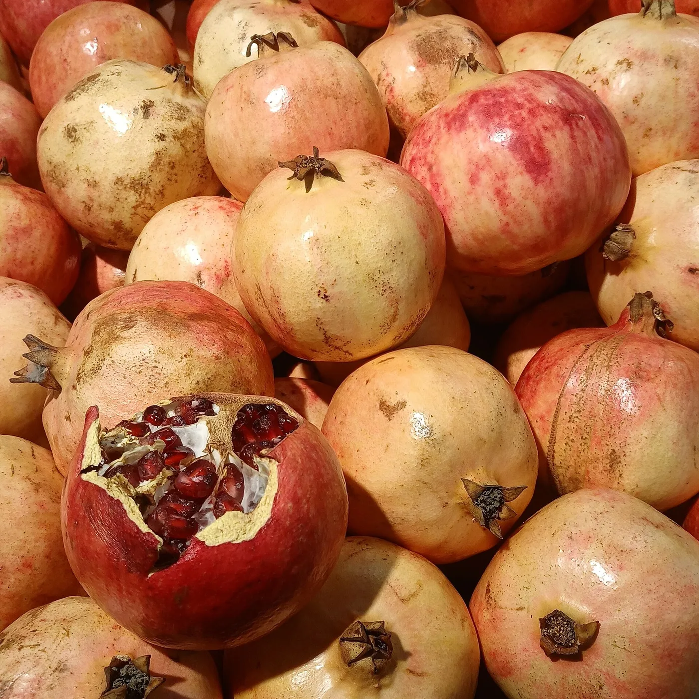 Pomegranates