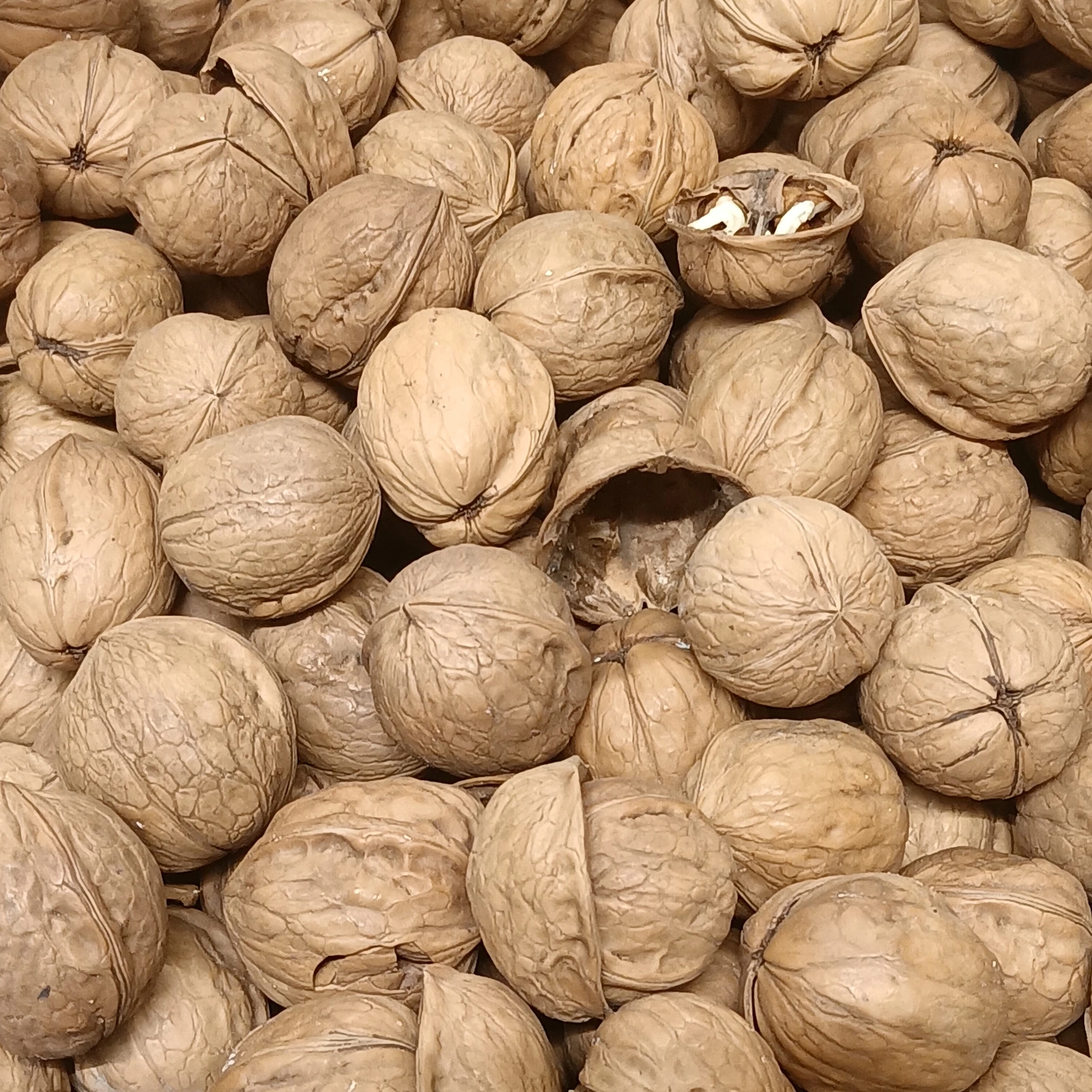 Walnuts