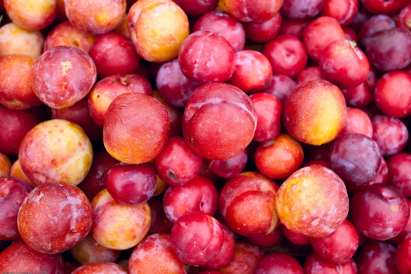 Plums